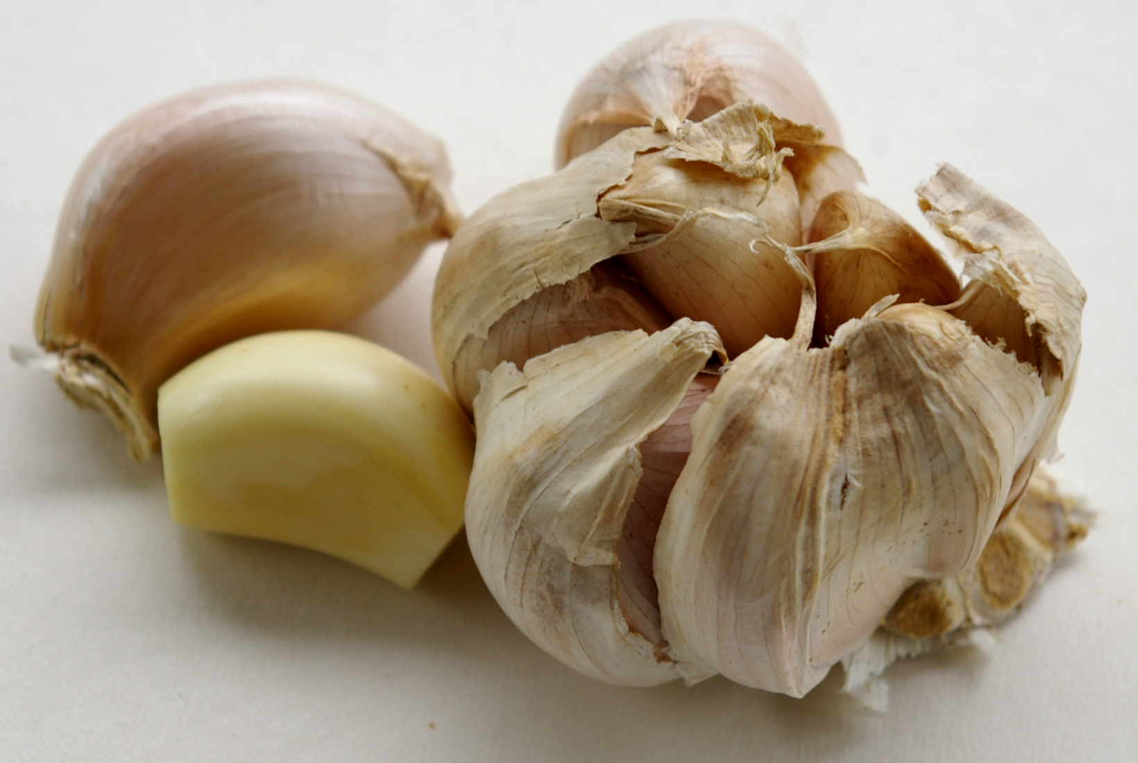 Garlic